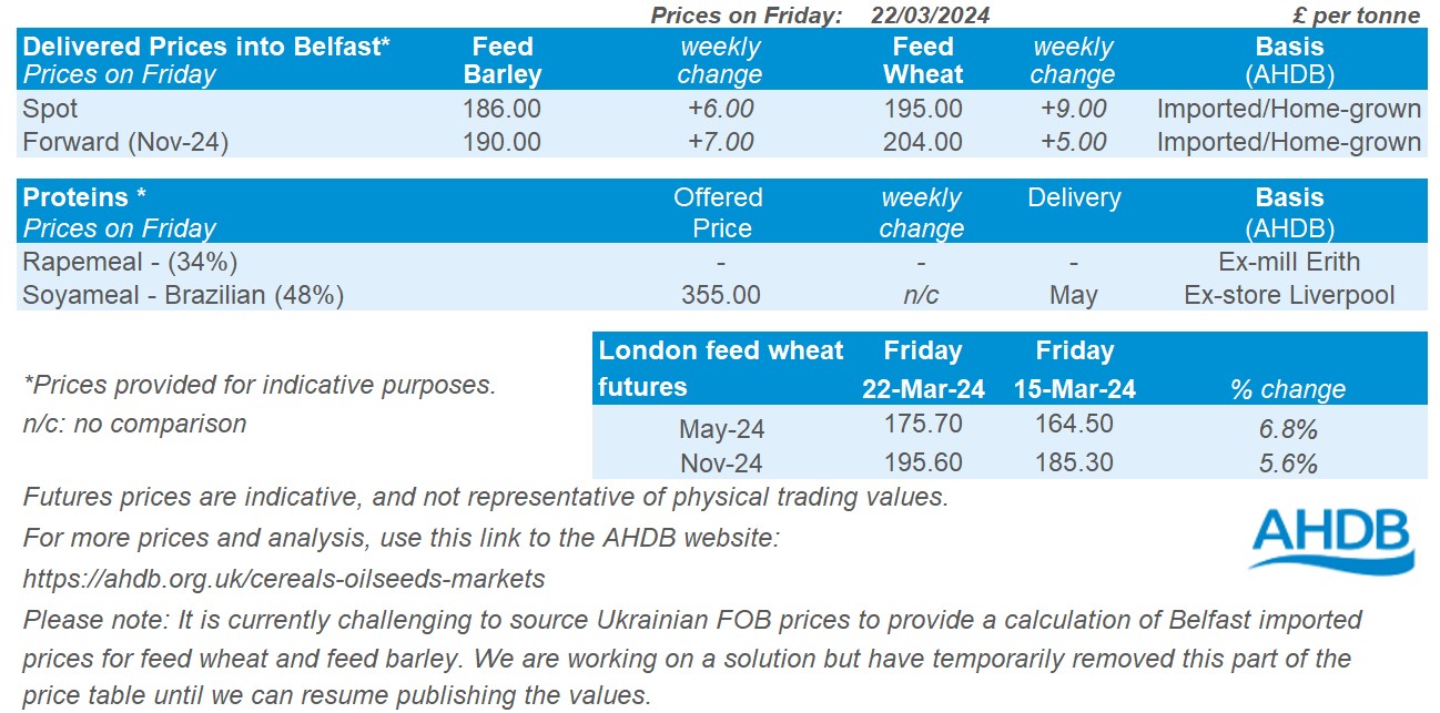 Table showing prices for grain delivered to Belfast as of 25 March 2024